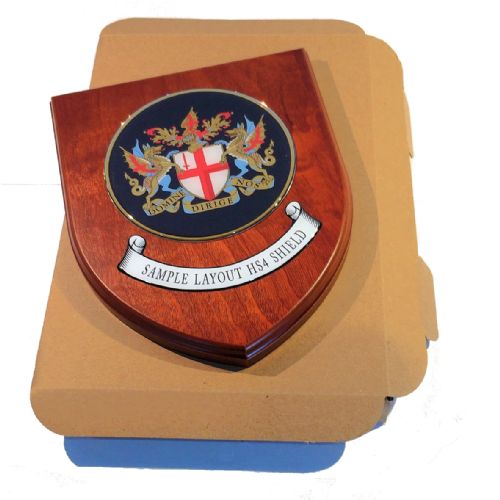 Presentation shield with medium round shaped centrepiece and scroll.